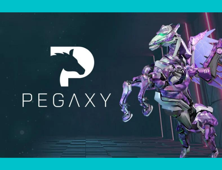 What Is Pegaxy A Beginners Guide To The Popular Game